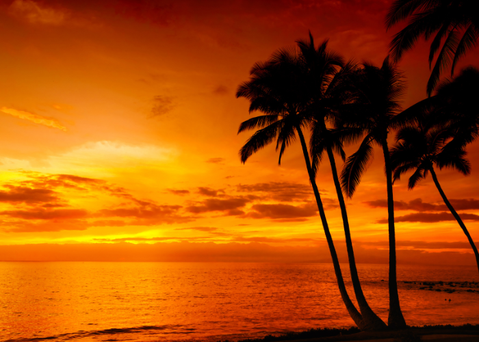 Half day tour taxi in Goa for quick and comfortable sightseeing